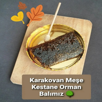 Organik Karakovan Meşe Kestane Orman Balı 600 Gr